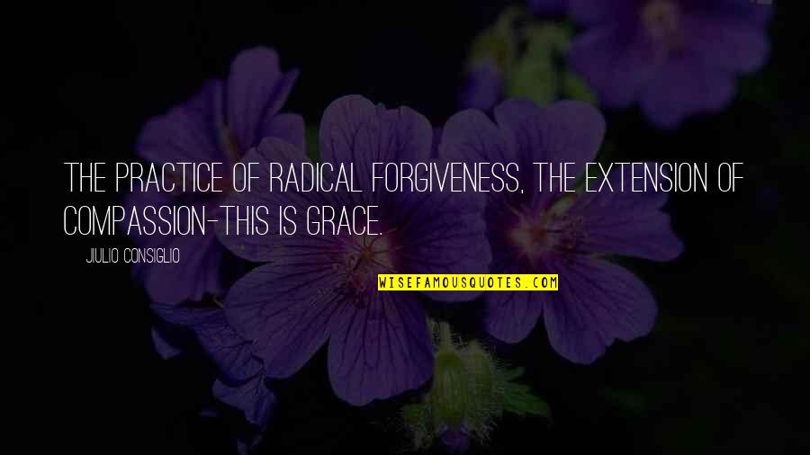 Agnese Graziani Quotes By Jiulio Consiglio: The practice of radical forgiveness, the extension of