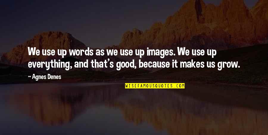 Agnes's Quotes By Agnes Denes: We use up words as we use up