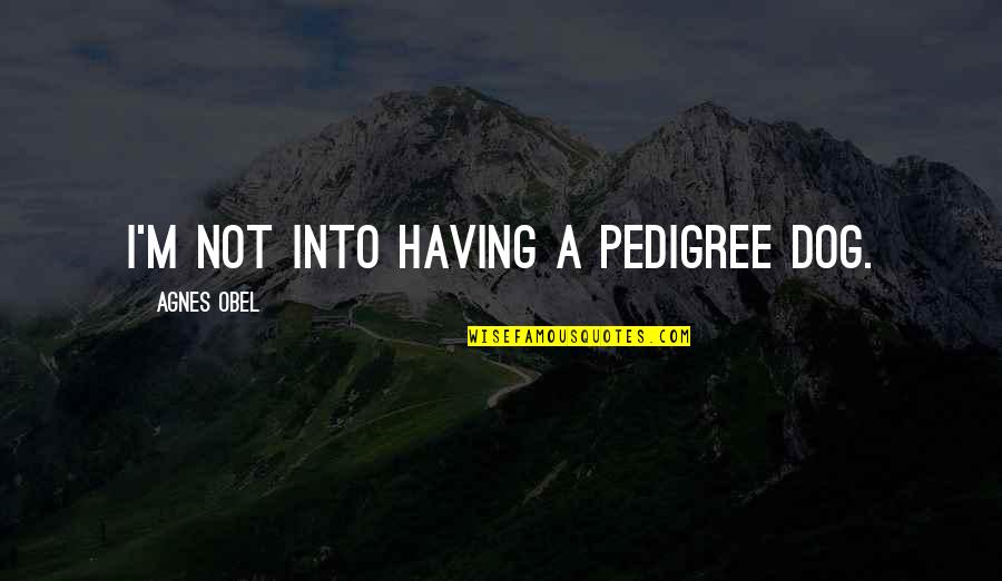 Agnes's Quotes By Agnes Obel: I'm not into having a pedigree dog.