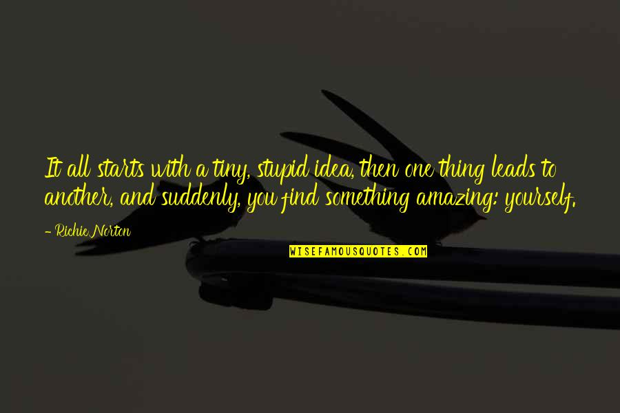 Agnethe Gulbrandsen Quotes By Richie Norton: It all starts with a tiny, stupid idea, Agnethe Gulbrandsen Quotes By Richie Norton: It all starts with a tiny, stupid idea,
