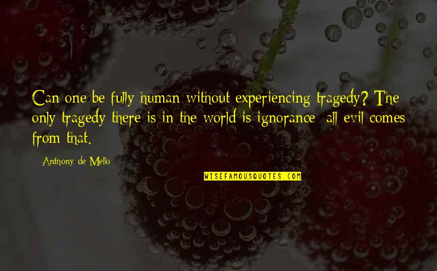 Agnone Morrison Quotes By Anthony De Mello: Can one be fully human without experiencing tragedy? Agnone Morrison Quotes By Anthony De Mello: Can one be fully human without experiencing tragedy?