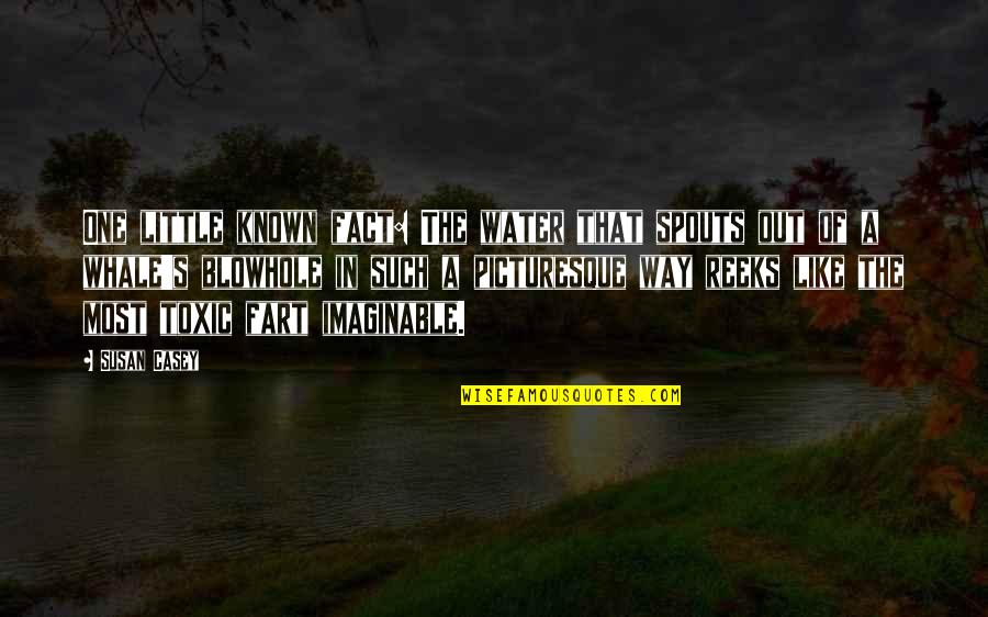 Agobiados Quotes By Susan Casey: One little known fact: The water that spouts Agobiados Quotes By Susan Casey: One little known fact: The water that spouts
