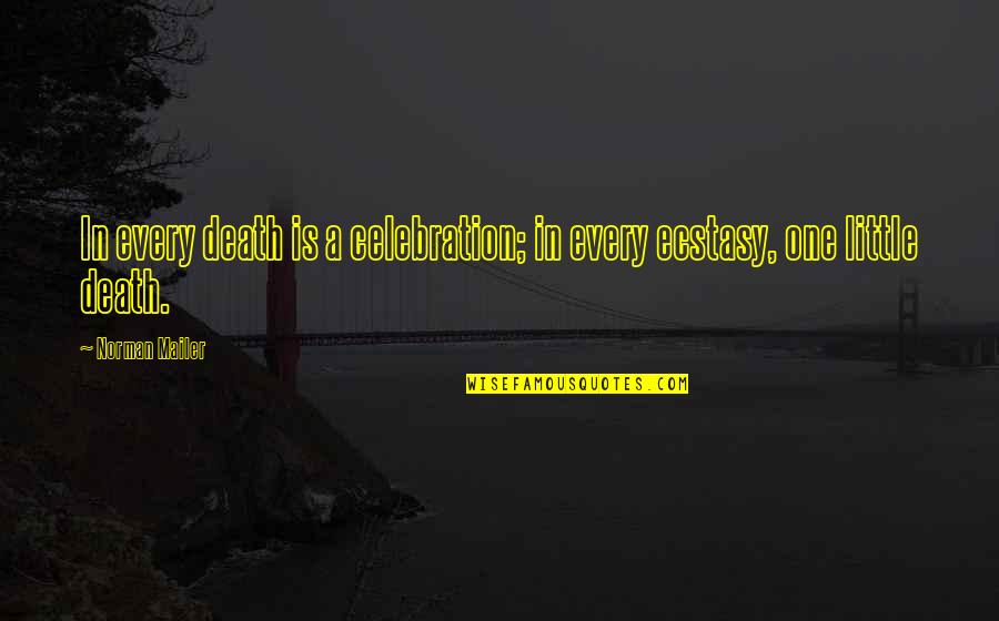 Agoe Io Quotes By Norman Mailer: In every death is a celebration; in every