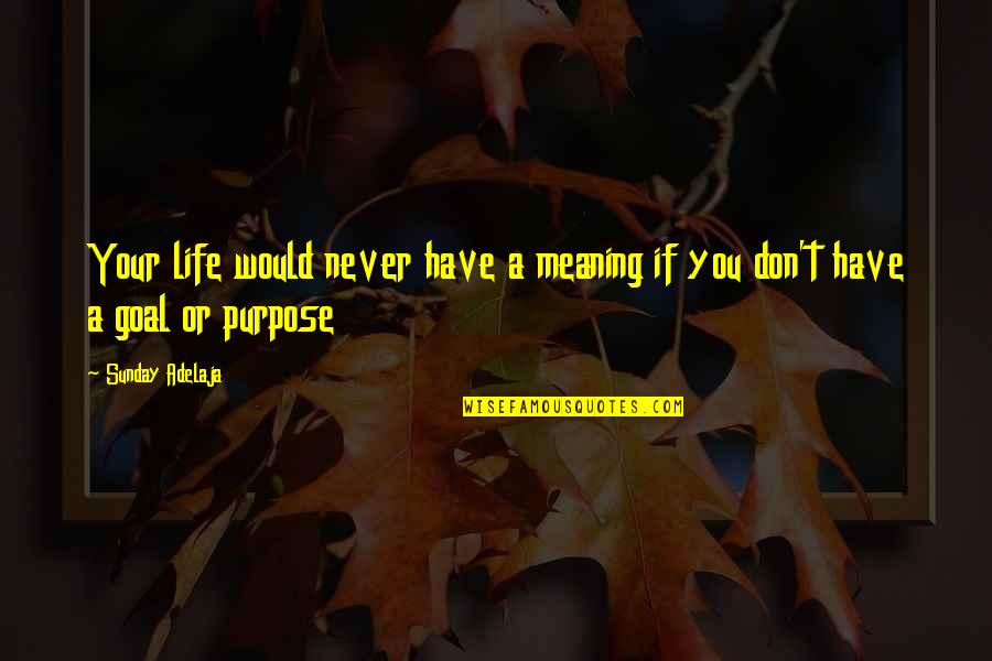 Agonic Brewing Quotes By Sunday Adelaja: Your life would never have a meaning if