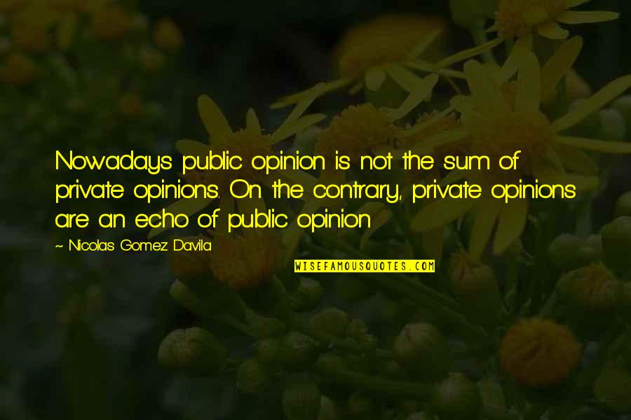 Agony Promotes Innovation Quotes By Nicolas Gomez Davila: Nowadays public opinion is not the sum of