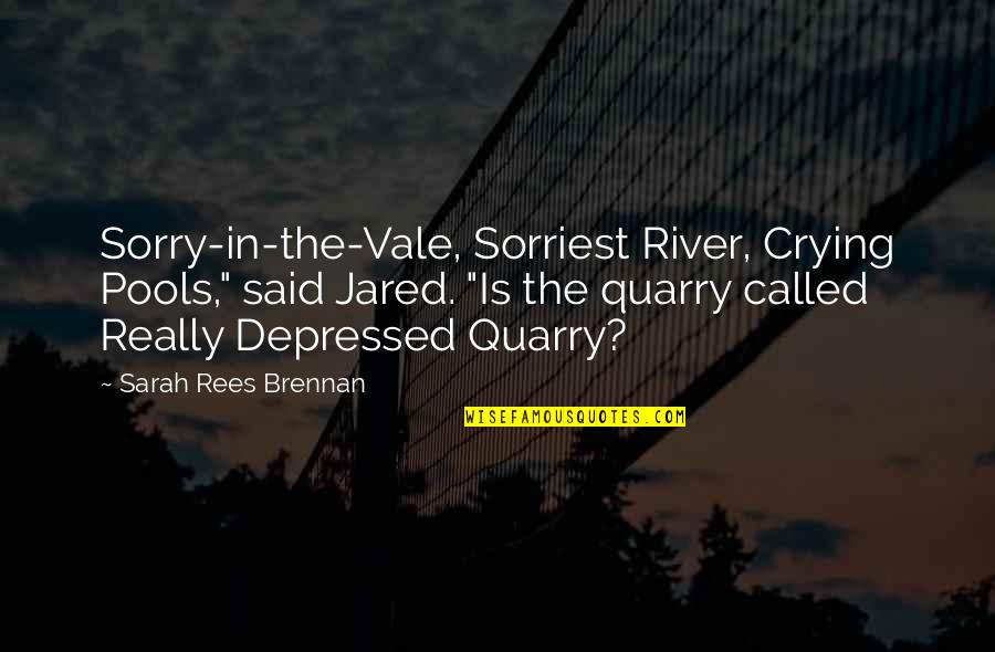 Agonys Embrace Quotes By Sarah Rees Brennan: Sorry-in-the-Vale, Sorriest River, Crying Pools," said Jared. "Is