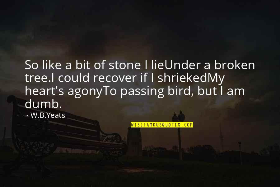 Agony's Quotes By W.B.Yeats: So like a bit of stone I lieUnder