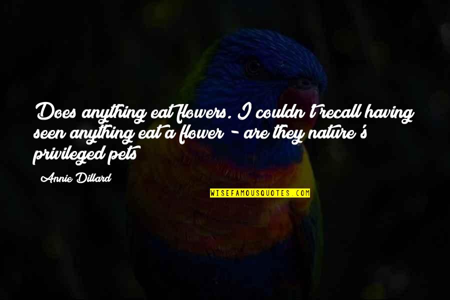 Agoraphobia Symptoms Quotes By Annie Dillard: Does anything eat flowers. I couldn't recall having