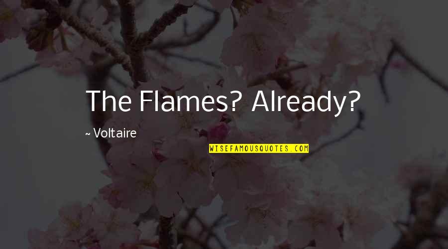 Agostinho Dos Quotes By Voltaire: The Flames? Already?