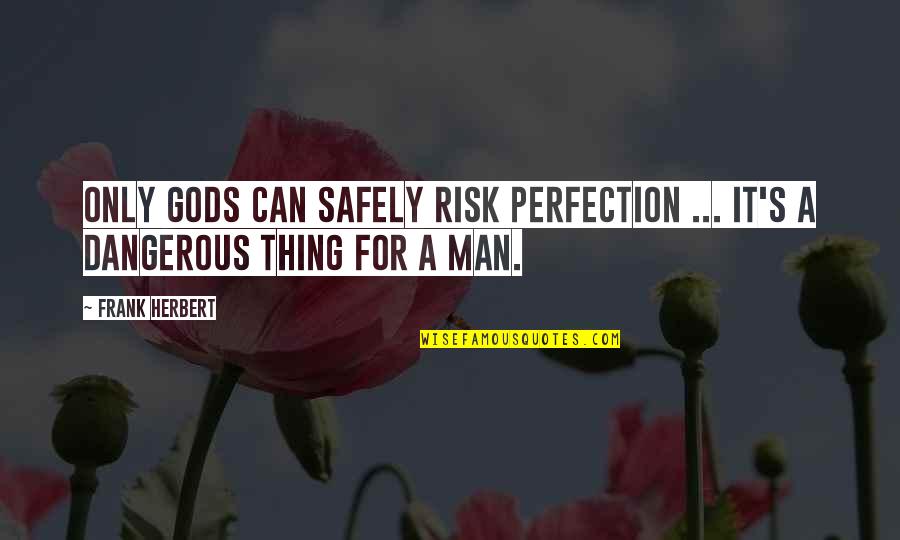 Agoumi Driss Quotes By Frank Herbert: Only gods can safely risk perfection ... it's