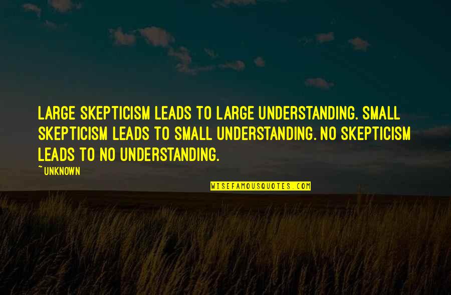 Agrebi Mohamed Quotes By Unknown: Large skepticism leads to large understanding. Small skepticism Agrebi Mohamed Quotes By Unknown: Large skepticism leads to large understanding. Small skepticism