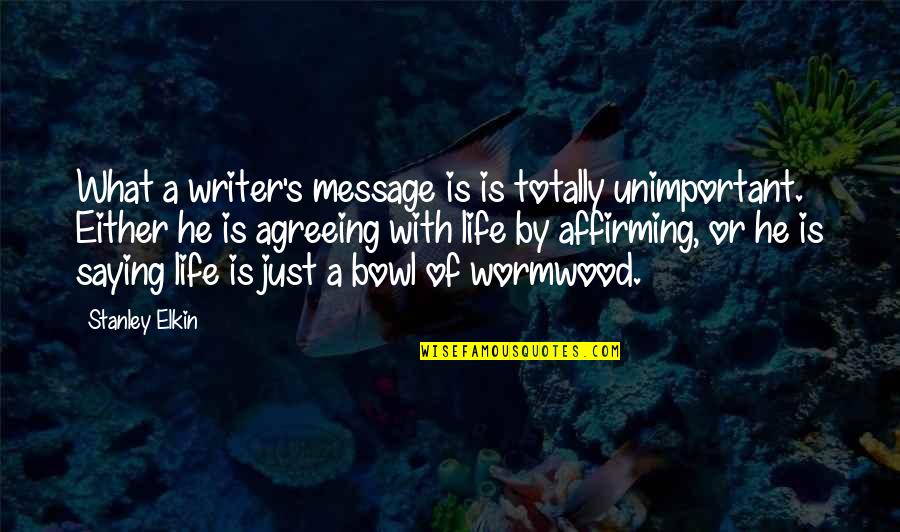 Agreeing Quotes By Stanley Elkin: What a writer's message is is totally unimportant.