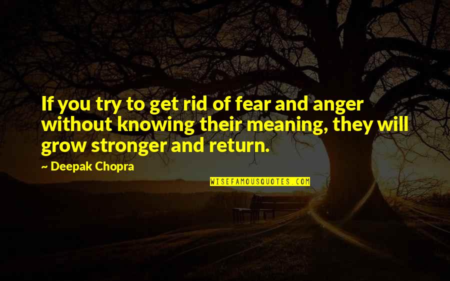 Agresiva Sinonimo Quotes By Deepak Chopra: If you try to get rid of fear