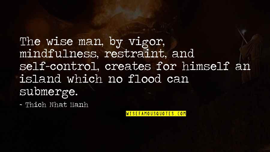 Agressively Quotes By Thich Nhat Hanh: The wise man, by vigor, mindfulness, restraint, and