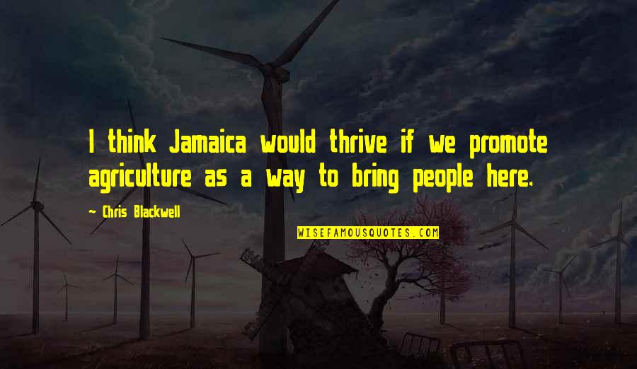 Agriculture's Quotes By Chris Blackwell: I think Jamaica would thrive if we promote