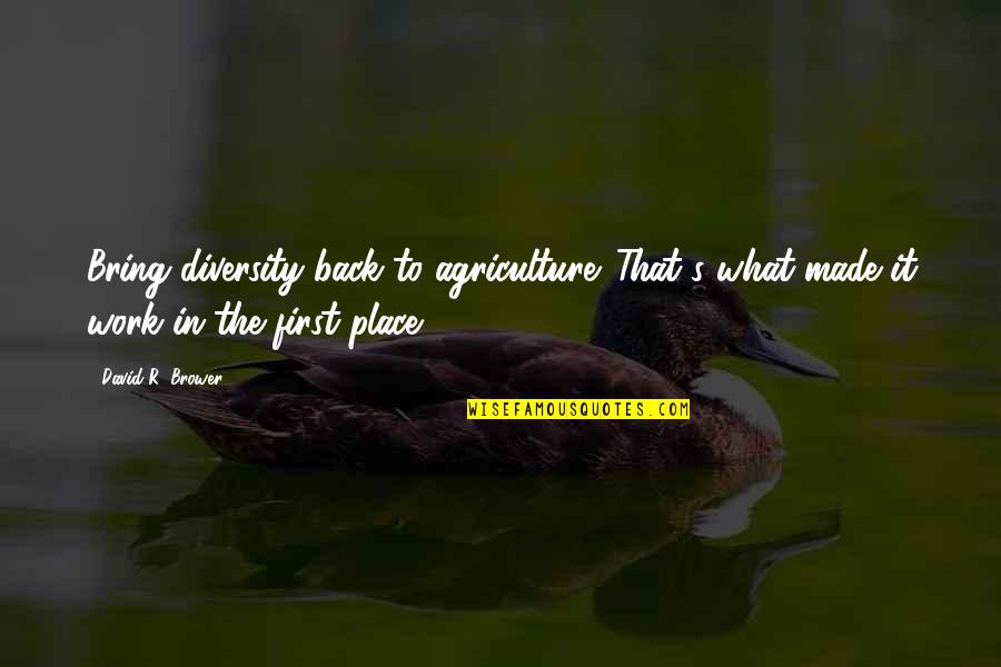 Agriculture's Quotes By David R. Brower: Bring diversity back to agriculture. That's what made