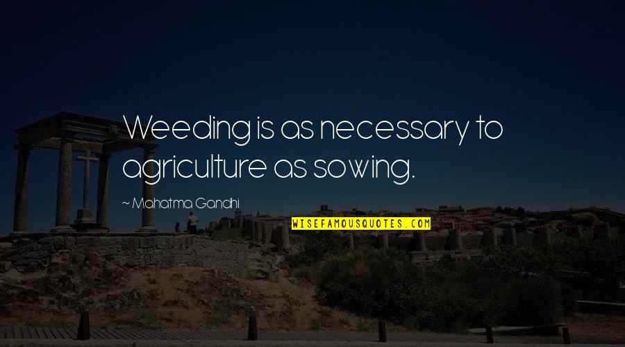 Agriculture's Quotes By Mahatma Gandhi: Weeding is as necessary to agriculture as sowing.