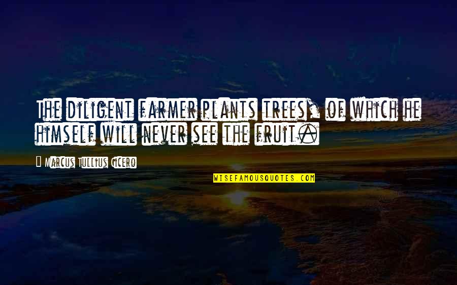 Agriculture's Quotes By Marcus Tullius Cicero: The diligent farmer plants trees, of which he