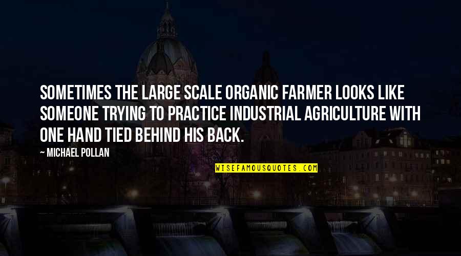 Agriculture's Quotes By Michael Pollan: Sometimes the large scale organic farmer looks like