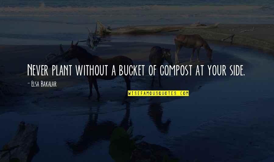 Agrippa Daubign Quotes By Elsa Bakalar: Never plant without a bucket of compost at Agrippa Daubign Quotes By Elsa Bakalar: Never plant without a bucket of compost at