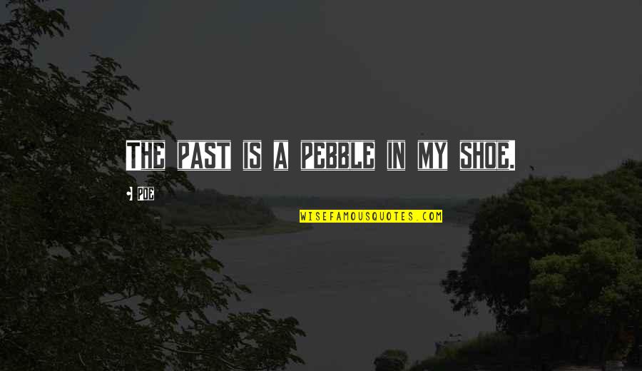 Agronovaz Quotes By Poe: The past is a pebble in my shoe.