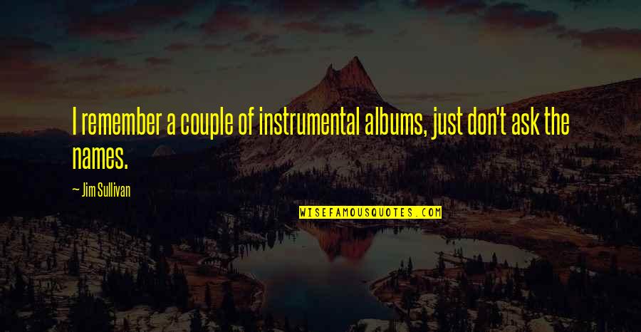 Agroterra Russia Quotes By Jim Sullivan: I remember a couple of instrumental albums, just
