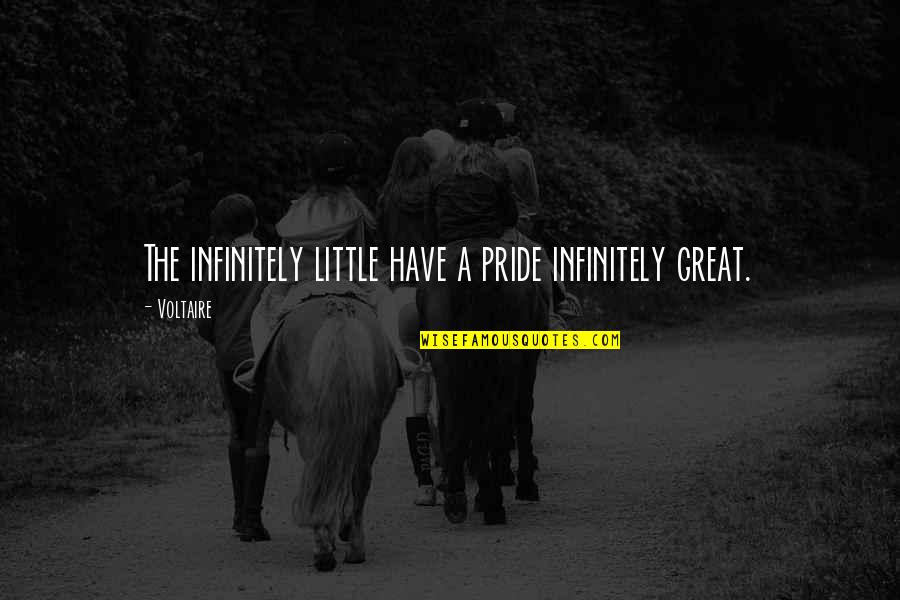 Agrowing Quotes By Voltaire: The infinitely little have a pride infinitely great.