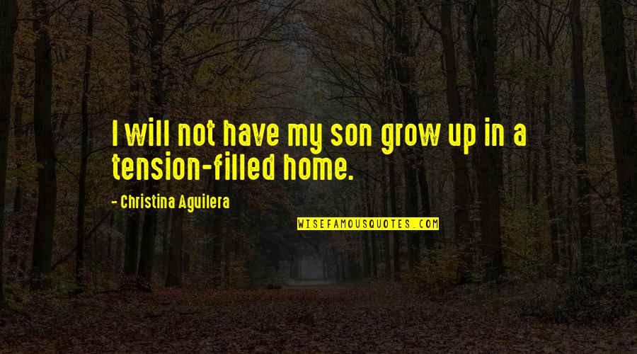 Aguilera Quotes By Christina Aguilera: I will not have my son grow up