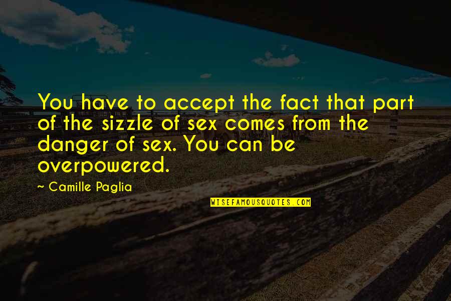 Agulha De Trico Quotes By Camille Paglia: You have to accept the fact that part