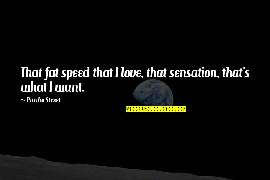 Aguner Quotes By Picabo Street: That fat speed that I love, that sensation,