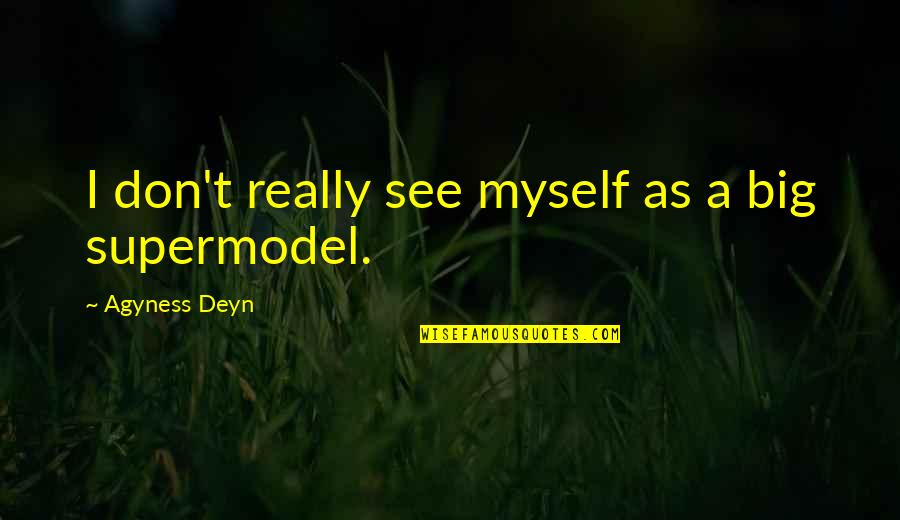 Agyness Quotes By Agyness Deyn: I don't really see myself as a big