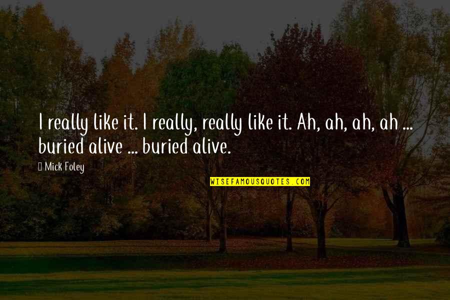 Ah Q Quotes By Mick Foley: I really like it. I really, really like Ah Q Quotes By Mick Foley: I really like it. I really, really like
