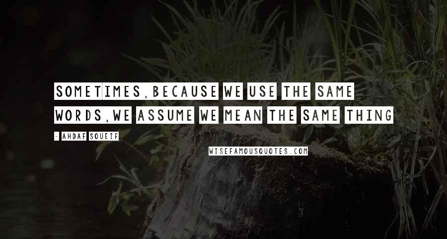 Ahdaf Soueif quotes: Sometimes,because we use the same words,we assume we mean the same thing