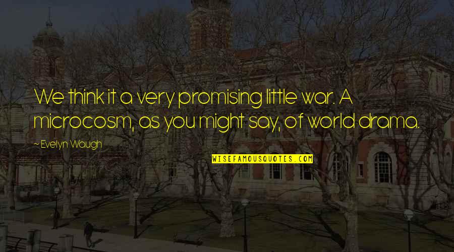 Ahente Quotes By Evelyn Waugh: We think it a very promising little war.