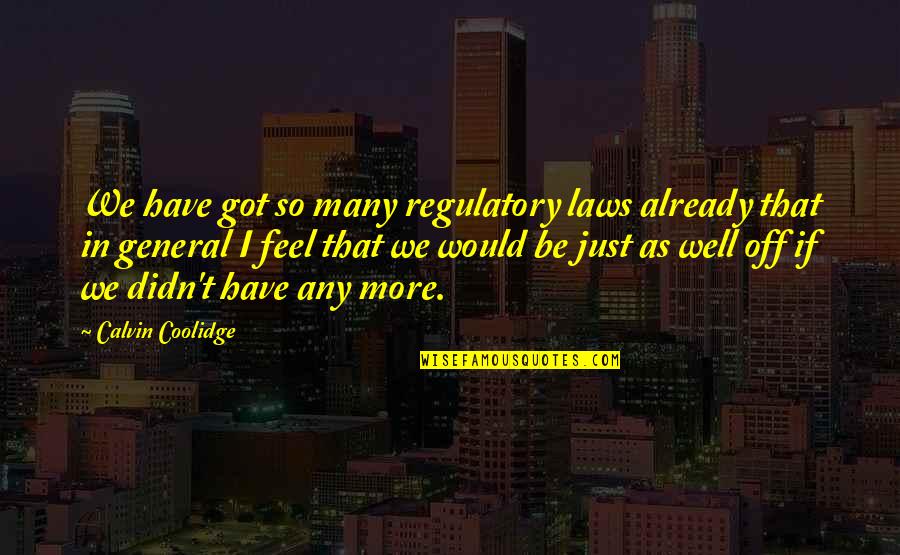 Ahgony Quotes By Calvin Coolidge: We have got so many regulatory laws already