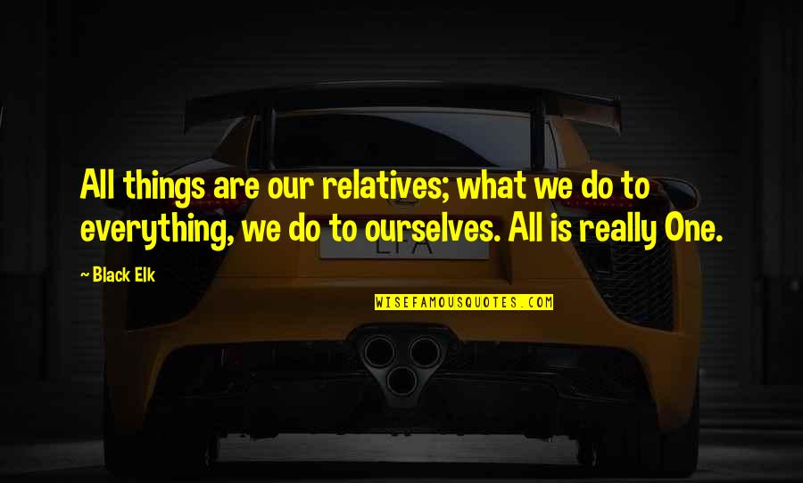 Ahimsa Quotes By Black Elk: All things are our relatives; what we do