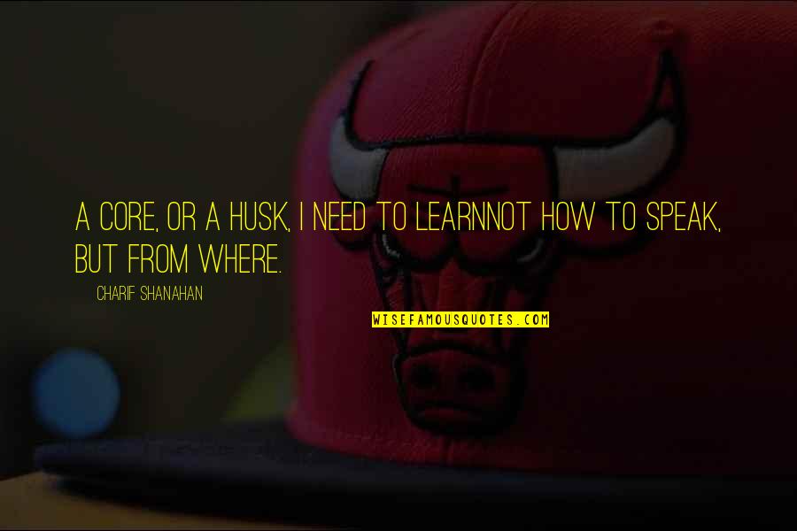 Ahlskog Mayo Quotes By Charif Shanahan: A core, or a husk, I need to Ahlskog Mayo Quotes By Charif Shanahan: A core, or a husk, I need to