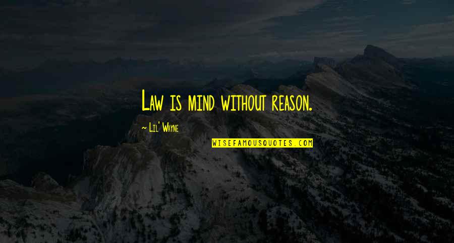 Ahmak Quotes By Lil' Wayne: Law is mind without reason.