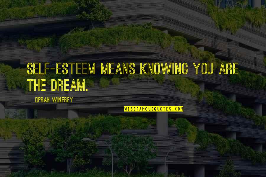 Ahmed Rashid Quotes By Oprah Winfrey: Self-esteem means knowing you are the dream.