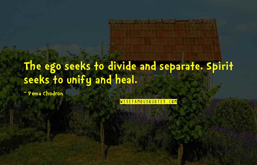 Ahmet Zogu Quotes By Pema Chodron: The ego seeks to divide and separate. Spirit