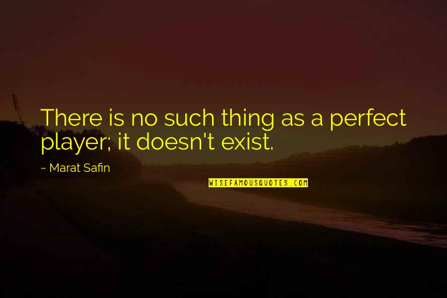 Ahmoors Quotes By Marat Safin: There is no such thing as a perfect