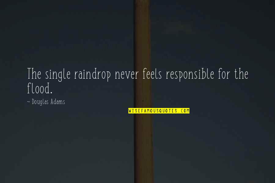 Ahnu Shoes Quotes By Douglas Adams: The single raindrop never feels responsible for the