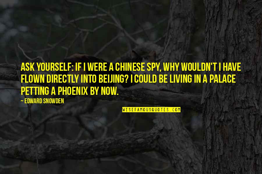 Ahogarse Preterite Quotes By Edward Snowden: Ask yourself: if I were a Chinese spy,