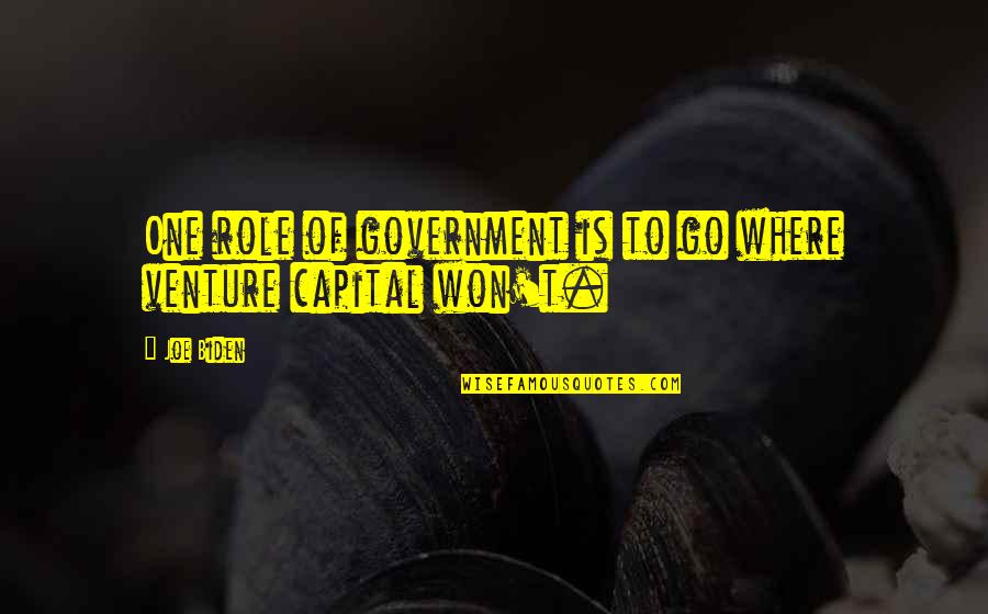 Ahorrar Agua Quotes By Joe Biden: One role of government is to go where