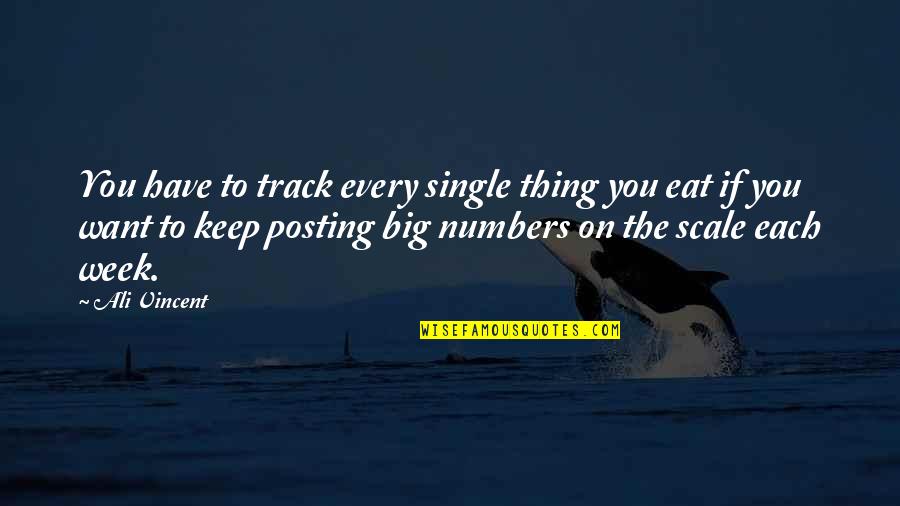 Ahorro Quotes By Ali Vincent: You have to track every single thing you
