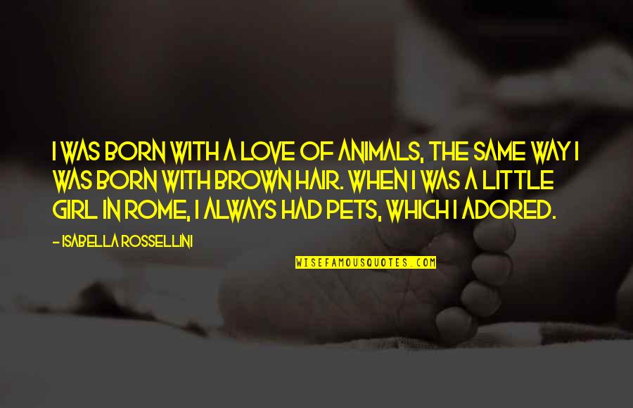 Ahrc Quotes By Isabella Rossellini: I was born with a love of animals, Ahrc Quotes By Isabella Rossellini: I was born with a love of animals,