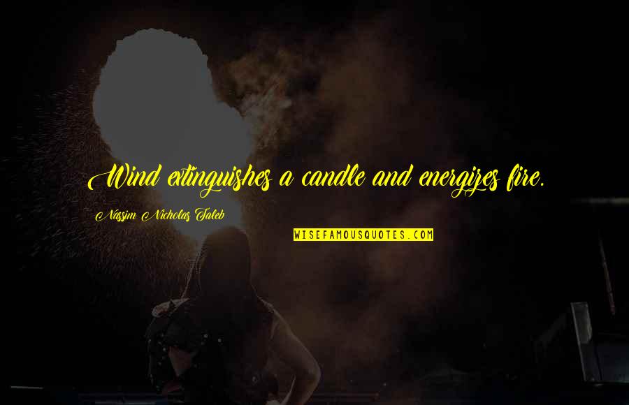 Ahrma Quotes By Nassim Nicholas Taleb: Wind extinguishes a candle and energizes fire.
