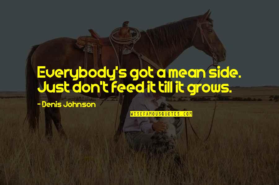 Ahsaa Quotes By Denis Johnson: Everybody's got a mean side. Just don't feed Ahsaa Quotes By Denis Johnson: Everybody's got a mean side. Just don't feed