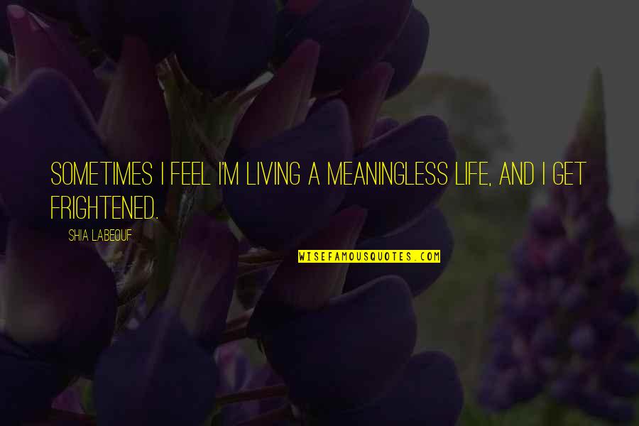Ahumada Leonik Quotes By Shia Labeouf: Sometimes I feel I'm living a meaningless life,
