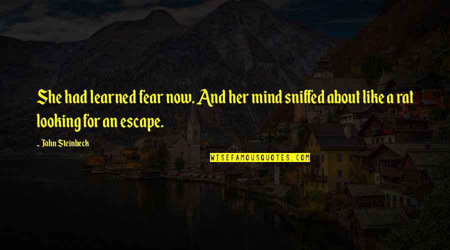 Ahuramazda Quotes By John Steinbeck: She had learned fear now. And her mind